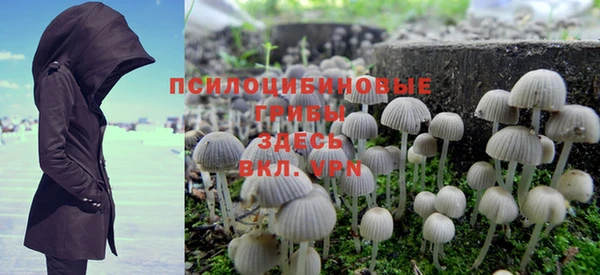 эйфоретик Беломорск