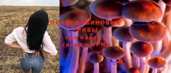 дживик Болхов
