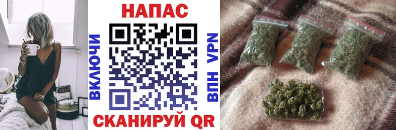 купить закладку  Жуковка  Бошки Шишки гибрид 